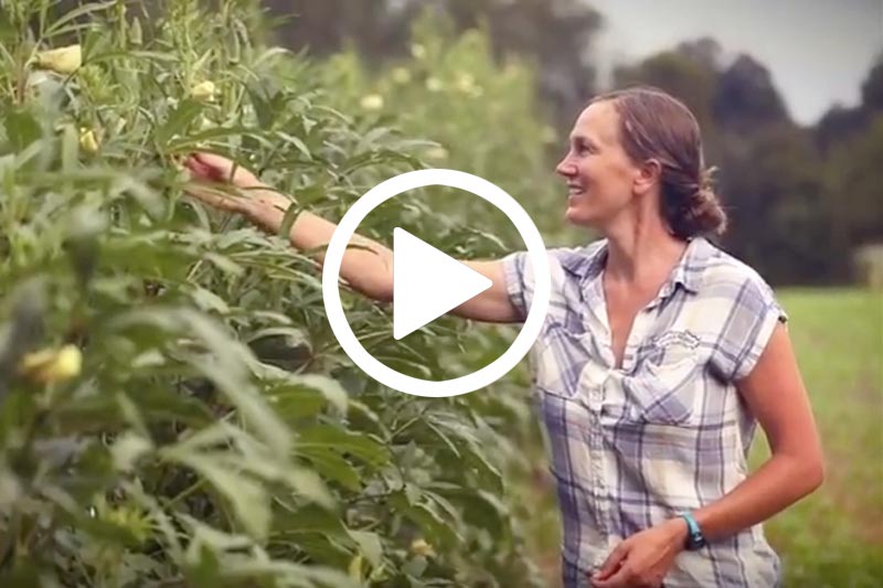 Click on image of Kate Renner in green field to watch video in modal