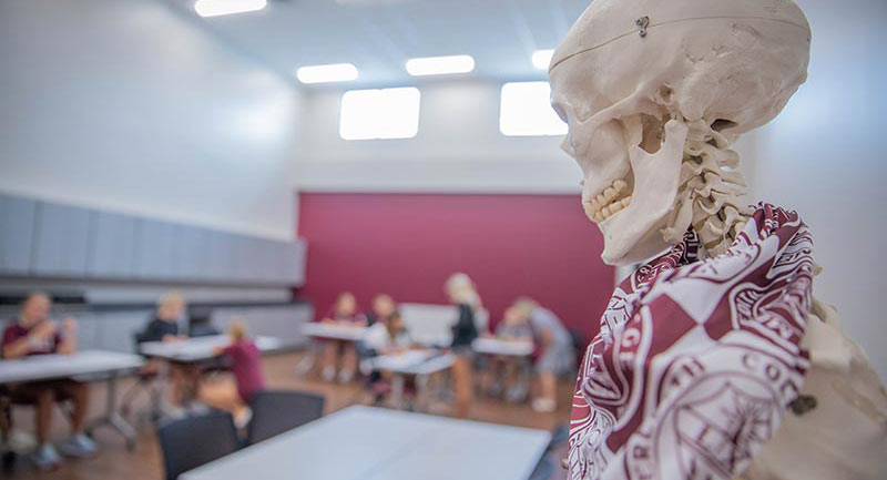 A skeleton wearing a meredith bandana overlooks a ESS class.