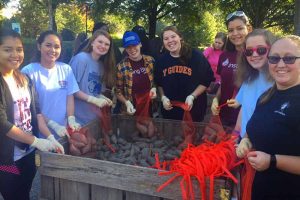 Students at Yam Jam 2017 during Cornhuskin'.