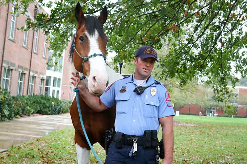 An officer leading a police horse.