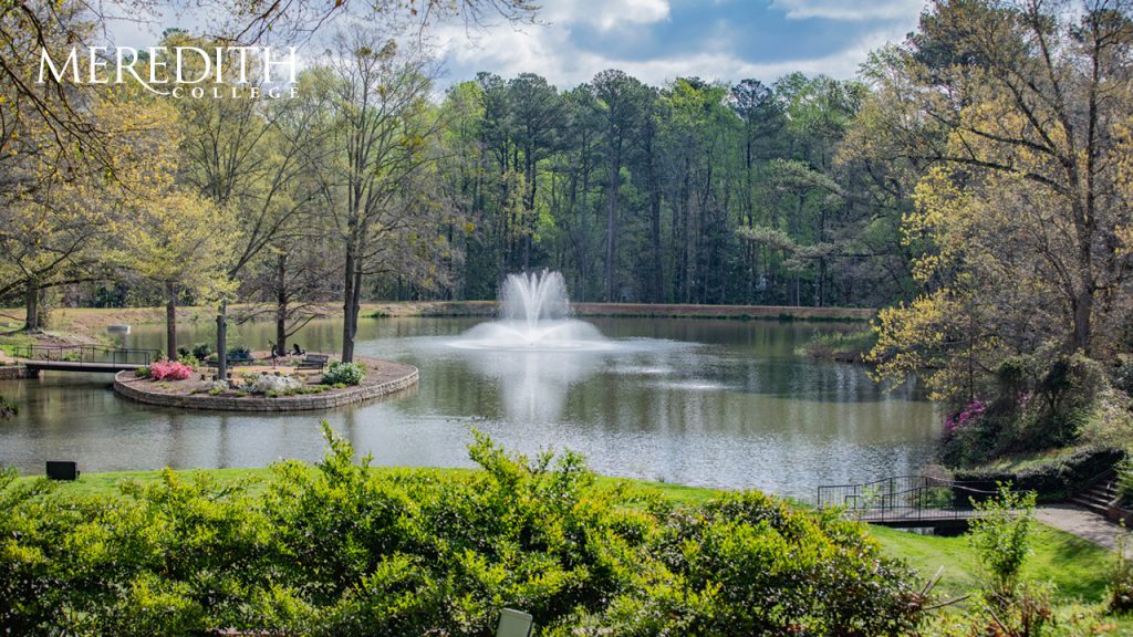 Lake Zoom Background 1280x720.